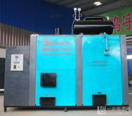 食用菌專(zhuān)用蒸汽環(huán)保鍋爐 綠色高效，助力食用菌產(chǎn)業(yè)可持續(xù)發(fā)展