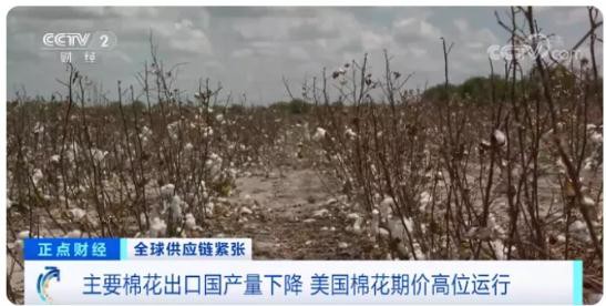 國際棉花逼近十年新高，服裝出口企業(yè)挑戰(zhàn)與對策分析